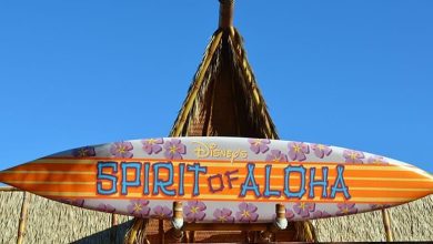 Spirit of Aloha