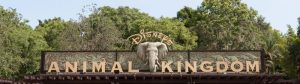 Animal Kingdom Sign