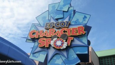 Epcot Character Spot