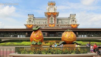 Fall in Magic Kingdom